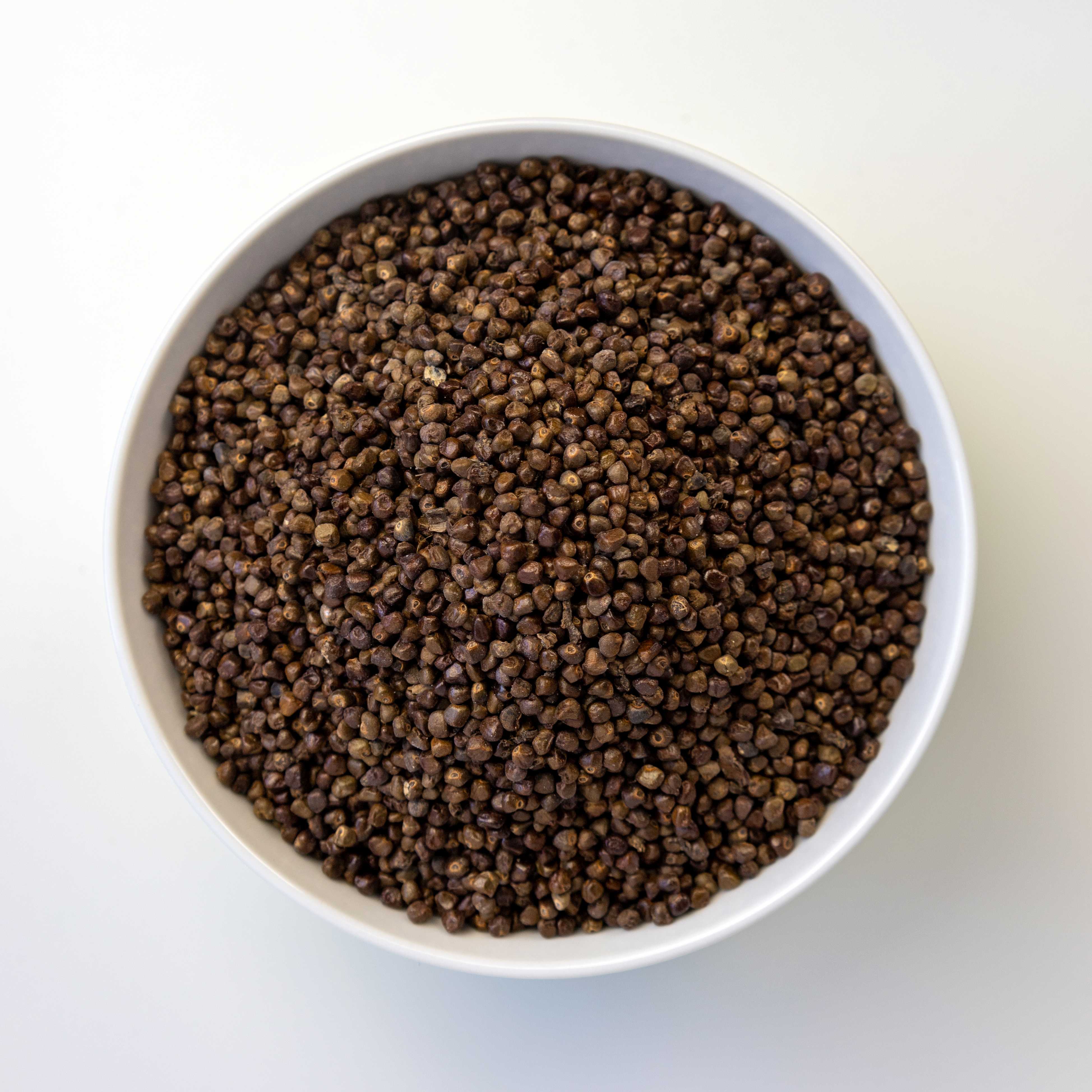 Korerima Ganz ኮረሪማ